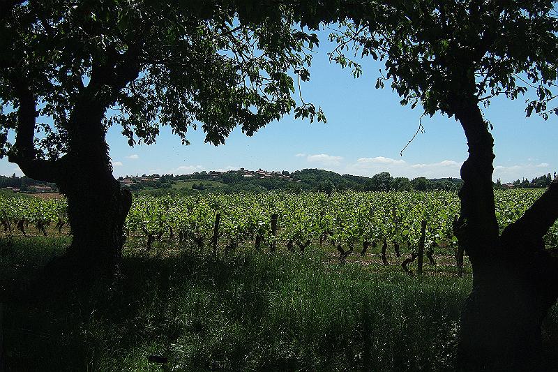 2010-06- (81).JPG